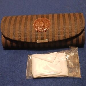 Fendi Brown and Black Striped Case